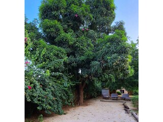 Villa Saly Environment 40