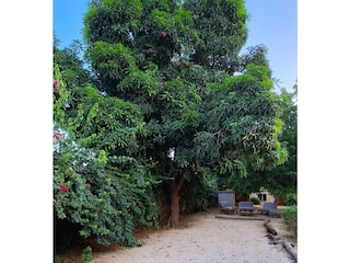 Villa Saly Umgebung 40