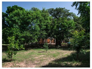 Villa Saly Environment 45