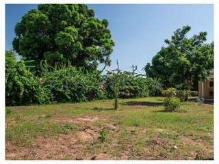 Villa Saly Environment 46