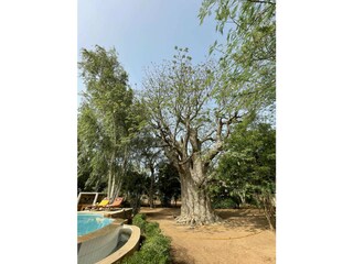 Villa Saly Outdoor Recording 9