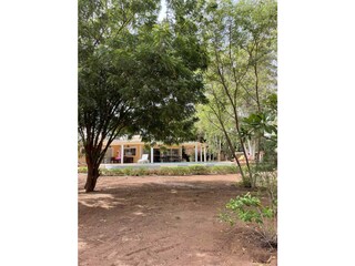 Villa Saly Außenaufnahme 11