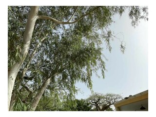 Villa Saly Outdoor Recording 12