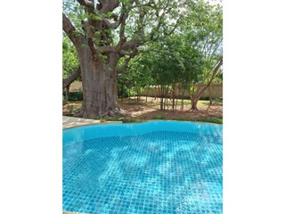 Villa Saly Outdoor Recording 13