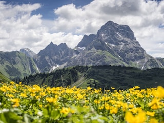 Widderstein im Sommer