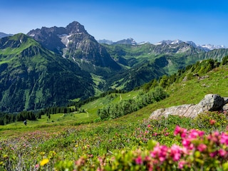 Im Hintergrund unser höchster Berg der "Widderstein"