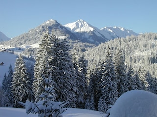 Walmendingerhorn