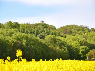 Appartamento Sellin Ambiente 16