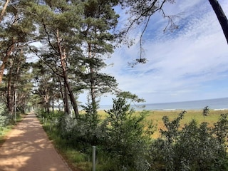 Appartement Sellin Omgeving 27