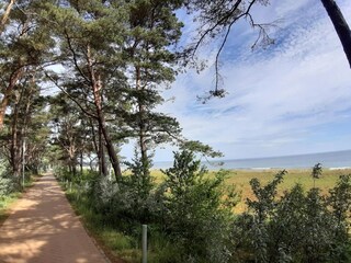 Apartment Sellin Umgebung 32