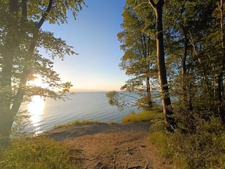 Apartment Sellin Umgebung 17