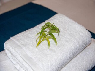 Casa per le vacanze Asteri  36