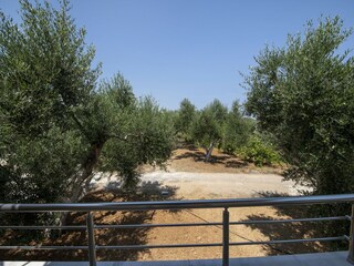 Vakantiehuis Asteri Buitenaudio-opname 10