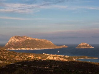 Appartement Porto Rotondo Omgeving 21