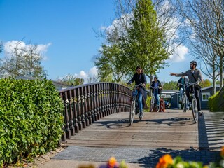 Vakantiepark Driehuis Omgeving 9
