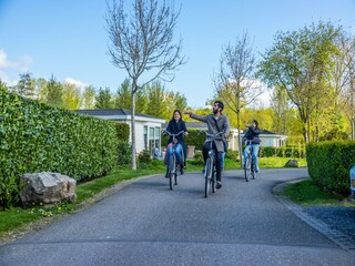 Vakantiepark Driehuis Omgeving 15