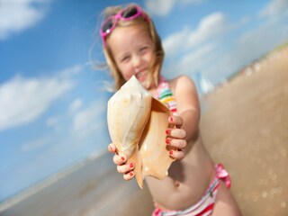 Vakantiepark Hellevoetsluis Omgeving 11