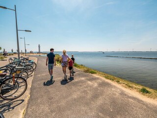 Vakantiepark Hellevoetsluis Omgeving 12