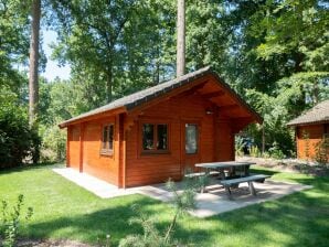 Holiday park Nice chalet with combimicrowave, 20km from Utrecht - Doorn - image1