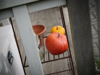 Vakantiepark Wemeldinge  40