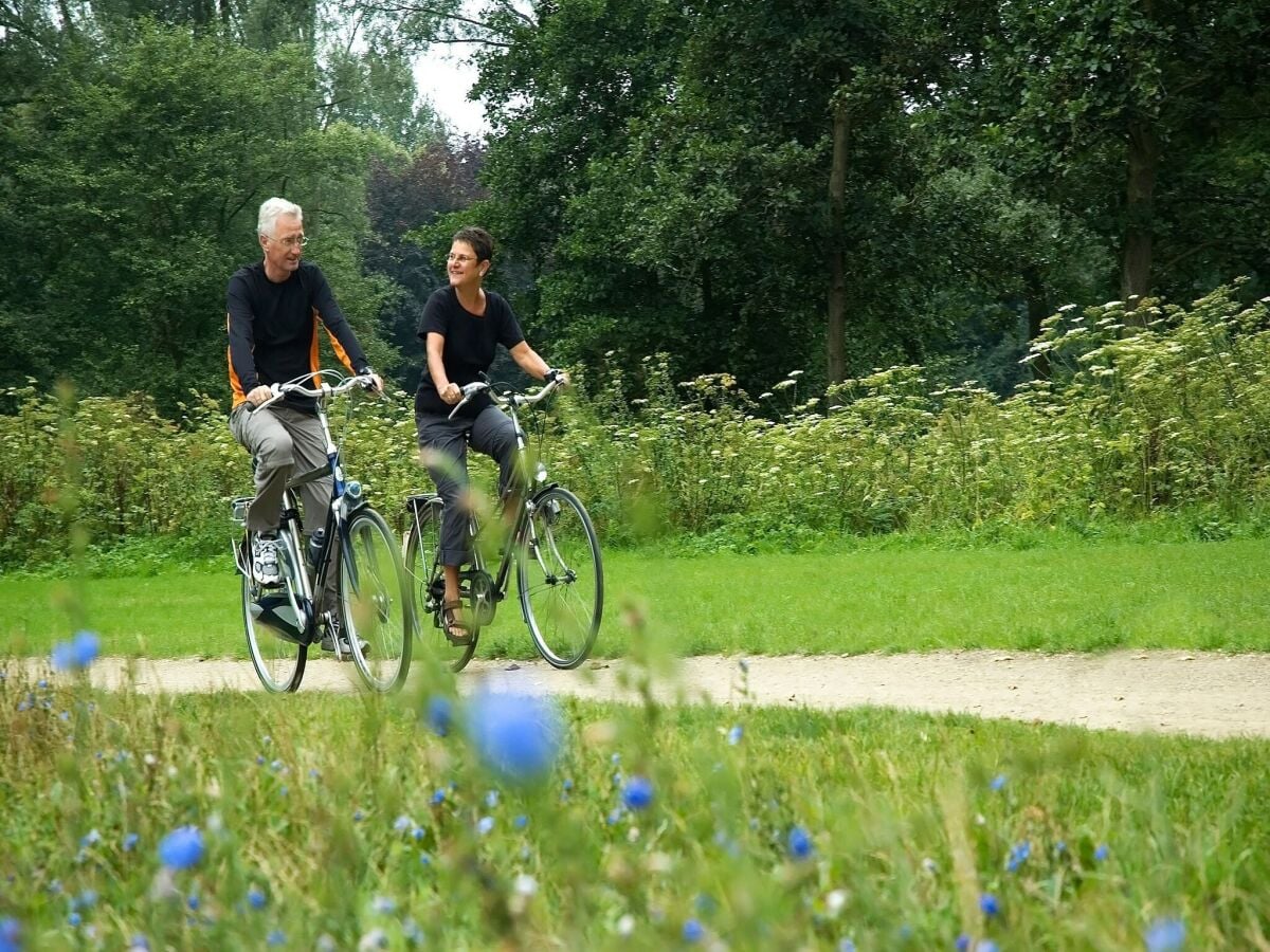 Ferienpark Baarlo Umgebung 13