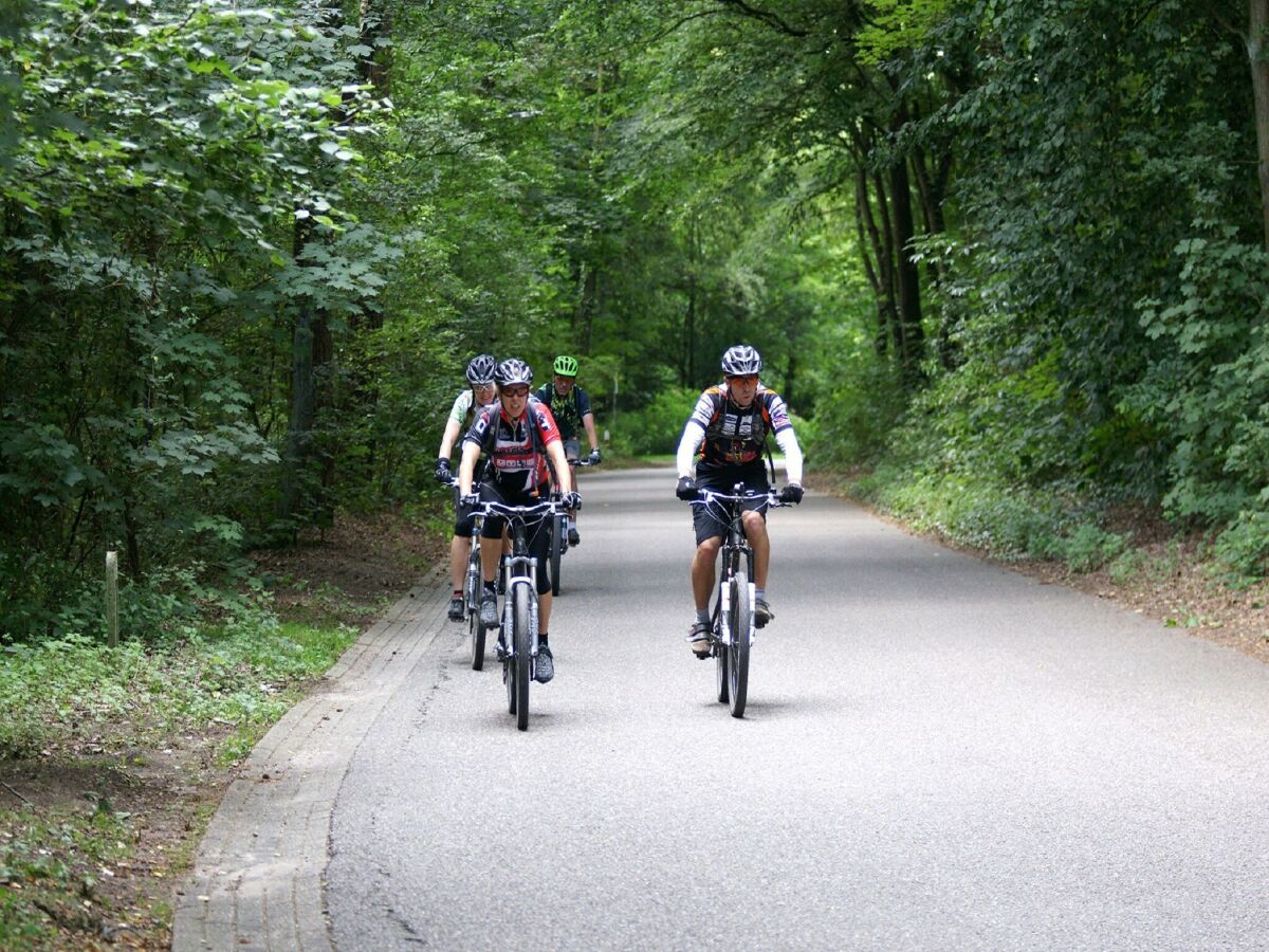 Ferienpark Baarlo Umgebung 15