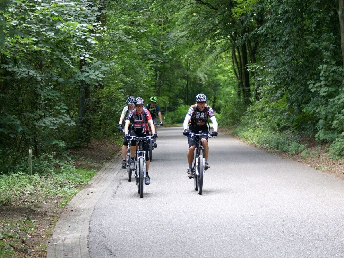 Ferienpark Baarlo Umgebung 10