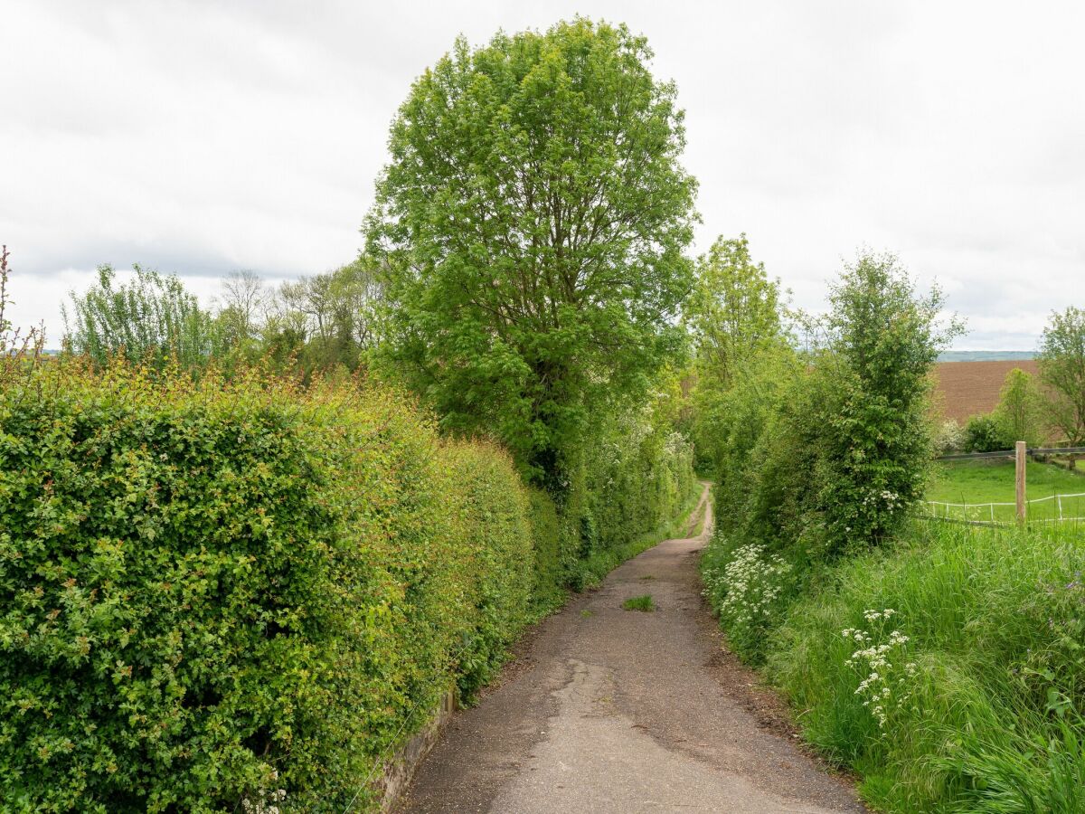 Ferienhaus Simpelveld Umgebung 30