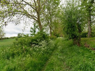 Casa de vacaciones Simpelveld Entorno 29