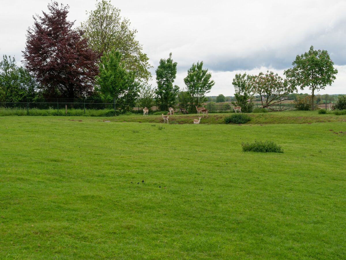 Ferienhaus Simpelveld Umgebung 30