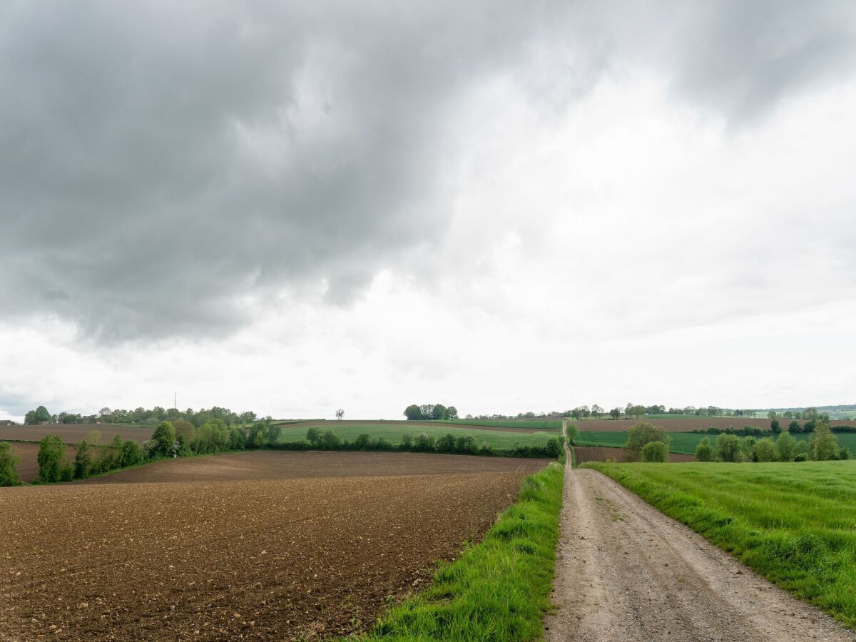 Ferienhaus Simpelveld Umgebung 31