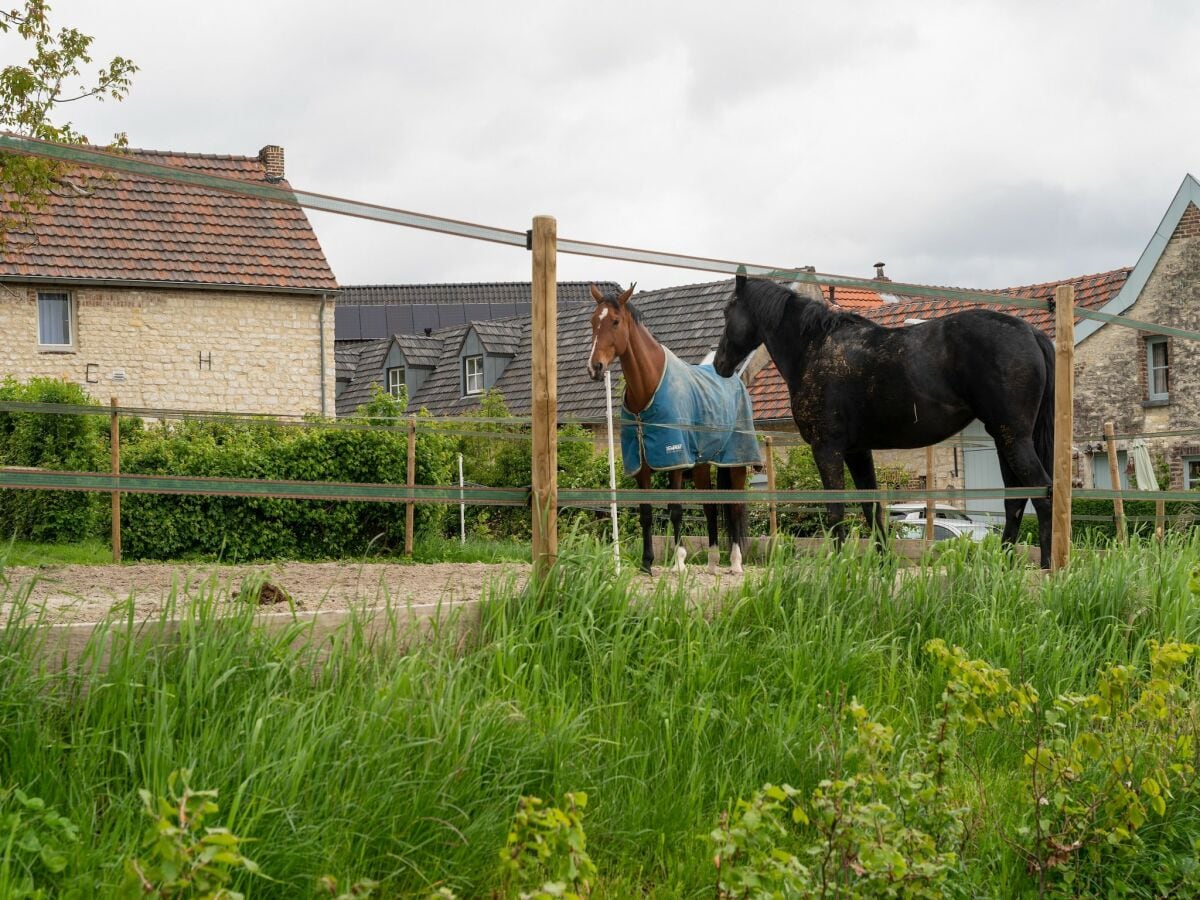 Ferienhaus Simpelveld Umgebung 32