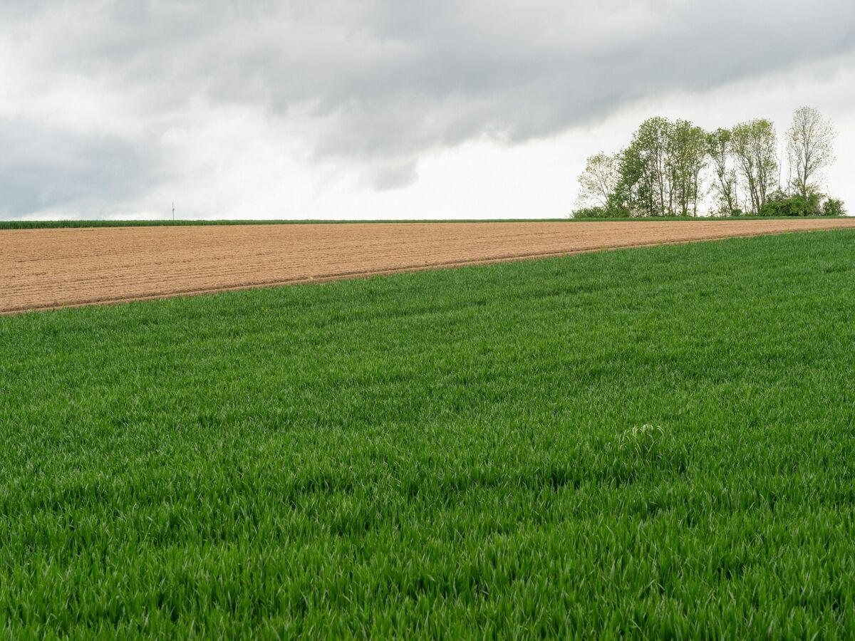 Ferienhaus Simpelveld Umgebung 30