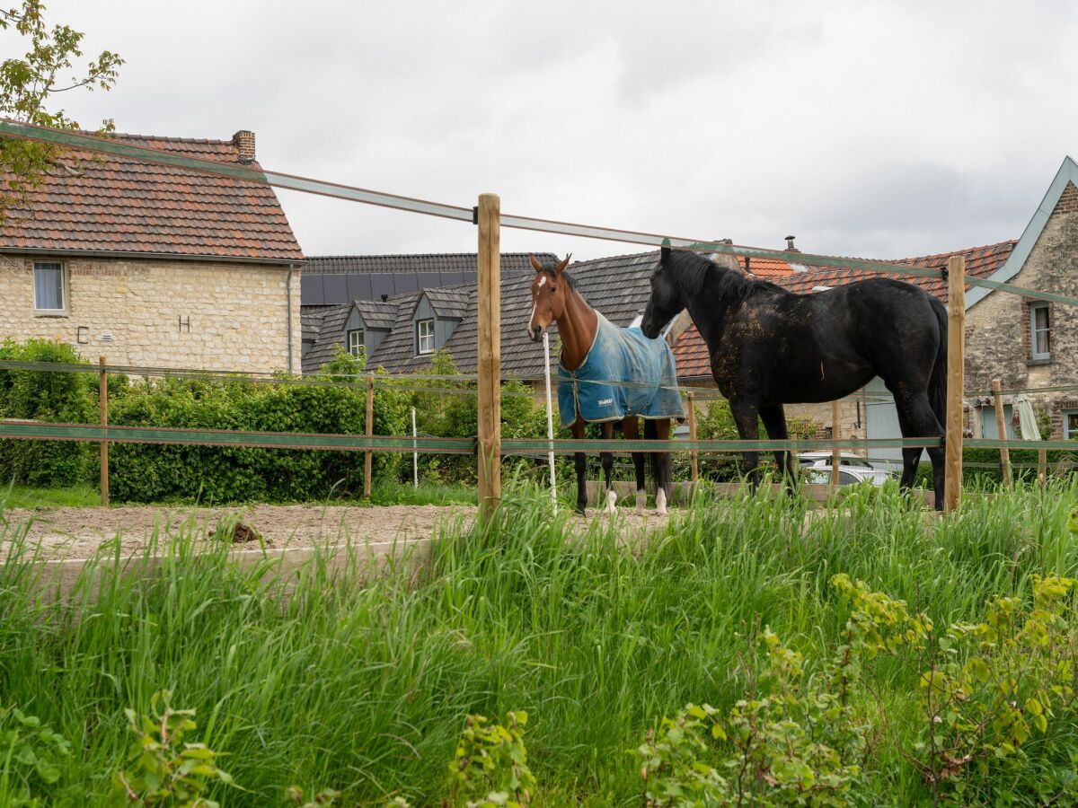 Ferienhaus Simpelveld Umgebung 31