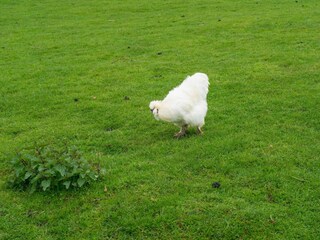 Casa vacanze Simpelveld  40