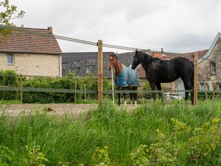 Maison de vacances Simpelveld Environnement 36