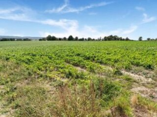 Casa vacanze Simpelveld Ambiente 23