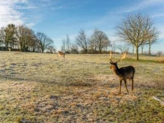 Maison de vacances Simpelveld Environnement 36
