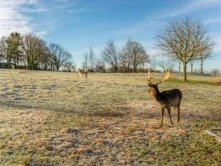 Vakantiehuisje Simpelveld Omgeving 36