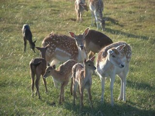 Holiday cottage Simpelveld Environment 33