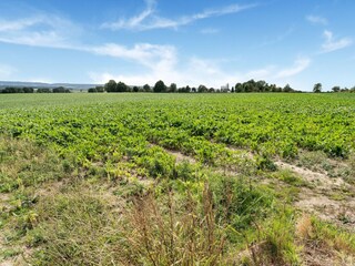 Casa vacanze Simpelveld Ambiente 30