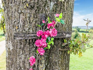 Maison de vacances Simpelveld Environnement 31