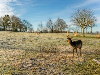 Vakantiehuisje Simpelveld Buitenaudio-opname 5