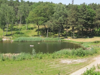 Parque de vacaciones Brunssum Entorno 12