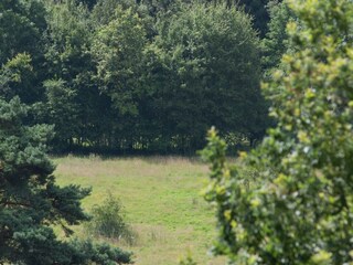 Vakantiepark Brunssum Omgeving 17