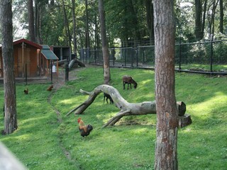 Vakantiepark Brunssum Buitenaudio-opname 6