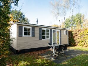 Ferienpark Schönes Mobilheim in der Nähe von Park De Veluwe - Lunteren - image1