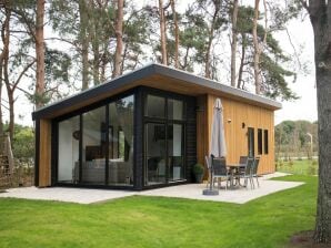 Holiday park Modern chalet near De Veluwe National Park - Lunteren - image1