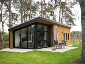 Vakantiepark Modern chalet nabij Nationaal Park De Veluwe - Lunteren - image1