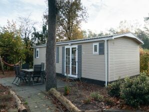 Holiday park Cheerful mobile home near Park De Veluwe - Lunteren - image1